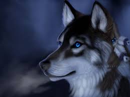 Wild Wolf